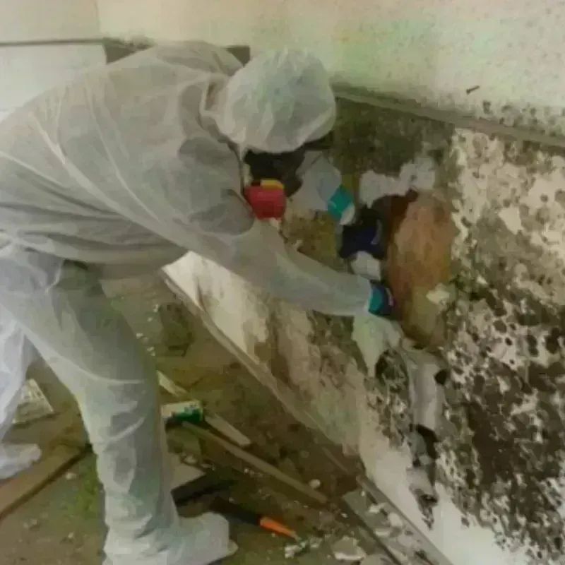 Mold Remediation and Removal in Campbell County, SD