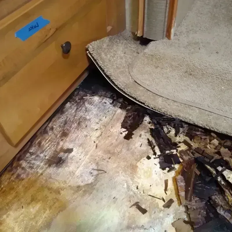 Wood Floor Water Damage in Campbell County, SD